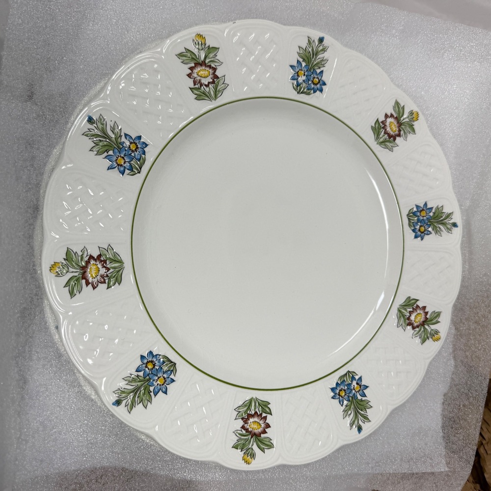 Royal Cauldon June Garden Bristol Ironstone 10.5 Dinner Plates Lot of 8 England